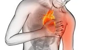 A professional doctor in a white coat conducts a thorough cardiovascular check-up for a patient in a modern examination room. The foreground features a stethoscope on the table, and a heart model beside it, symbolizing cardiology. In the middle, the doctor, a middle-aged Caucasian male, attentively examines the patient's heart, who is seated and dressed in modest casual attire, showing a relaxed demeanor. In the background, shelves filled with medical books and a digital heart monitor display health data, bathed in soft, warm lighting that creates a calm atmosphere. The image captures a sense of trust and professionalism. Ensure the brand name "d'vulgaki" appears in the bottom right corner of the image.